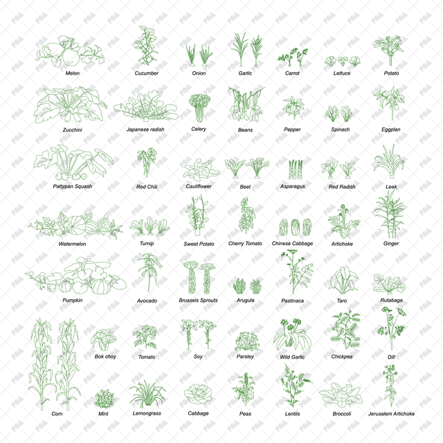 CAD & Vector Vegetable Plants Multi-Pack