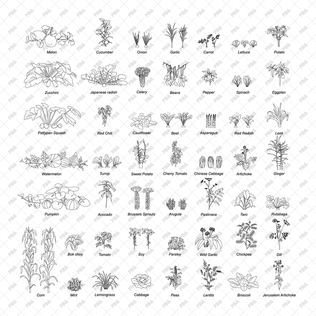 CAD & Vector Vegetable Plants Multi-Pack