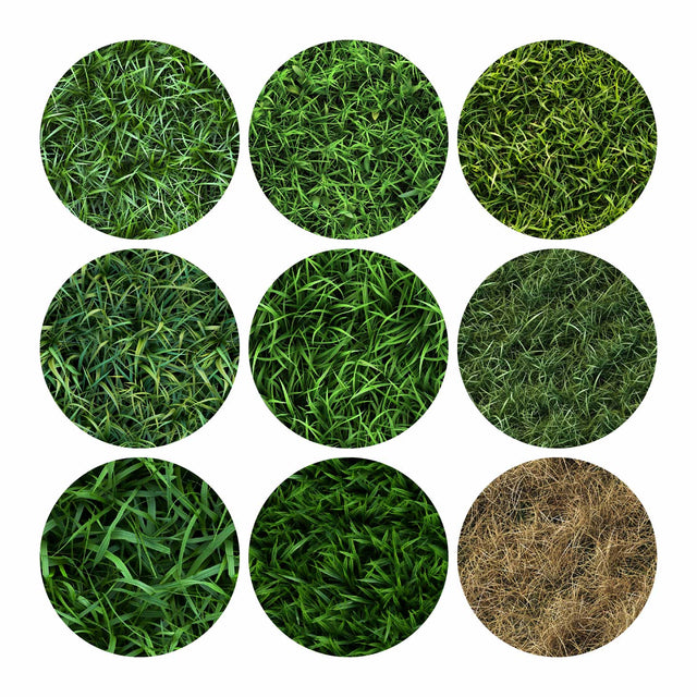 Pattern Library - Seamless Grass Textures - Post Digital Architecture — Free and Affordable Resources for Architects