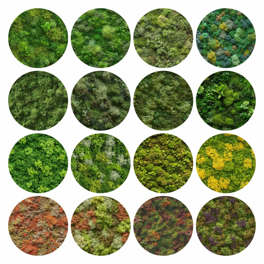 Pattern Library - Seamless Moss Textures | Post Digital Architecture