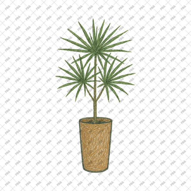 PNG Rough Hand-Drawn Plant Cutouts - Post Digital Architecture — Free and Affordable Resources for Architects