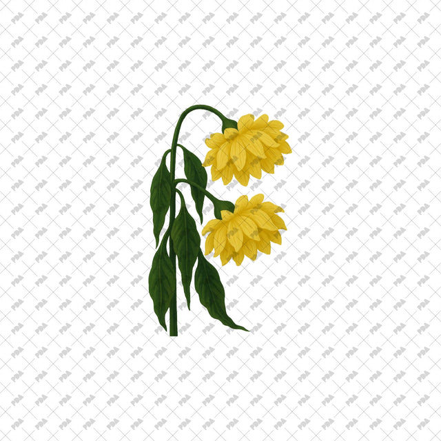PNG Cutout Plants and Trees - Post Digital Architecture — Free and Affordable Resources for Architects