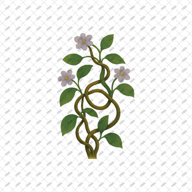 PNG Cutout Plants and Trees - Post Digital Architecture — Free and Affordable Resources for Architects