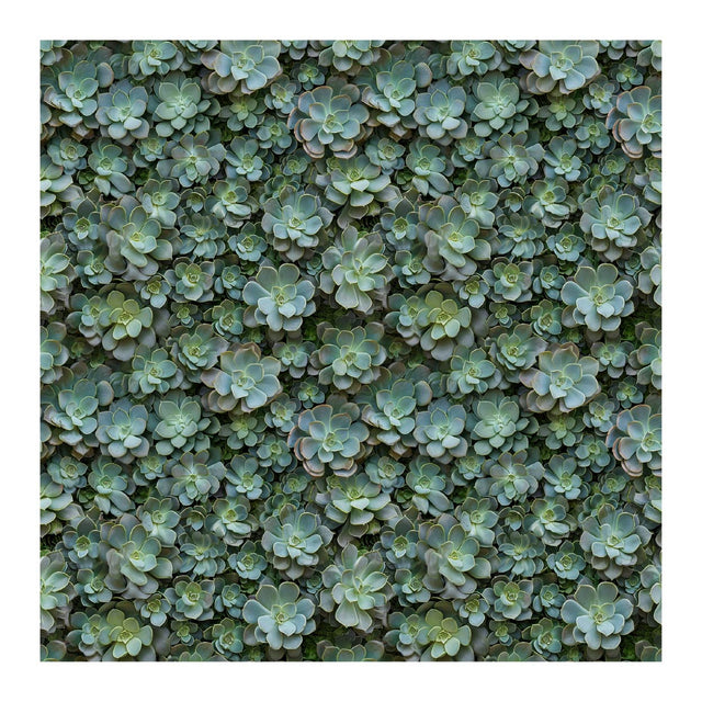 Pattern Library - Seamless Green Plant Wall Textures - Post Digital Architecture — Free and Affordable Resources for Architects