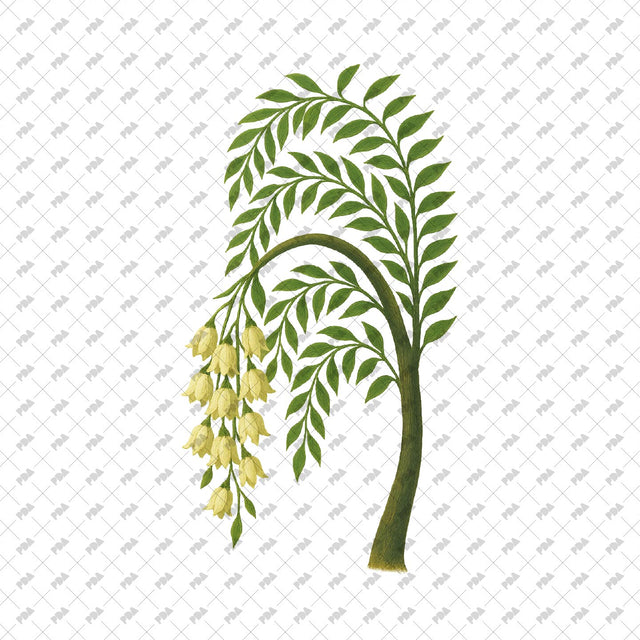 PNG Cutout Plants and Trees - Post Digital Architecture — Free and Affordable Resources for Architects