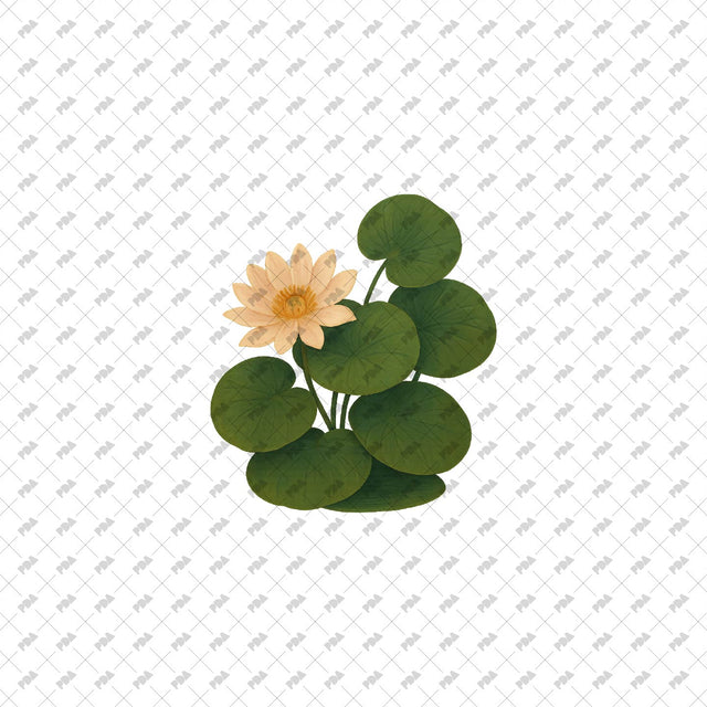 PNG Cutout Plants and Trees - Post Digital Architecture — Free and Affordable Resources for Architects