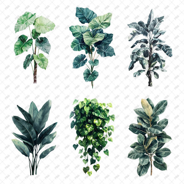 PNG Watercolor Plants - Post Digital Architecture — Free and Affordable Resources for Architects