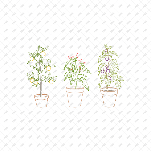 CAD, Vector Potted Fruit Trees and Plants (In color and B/W) - Post Digital Architecture — Free and Affordable Resources for Architects