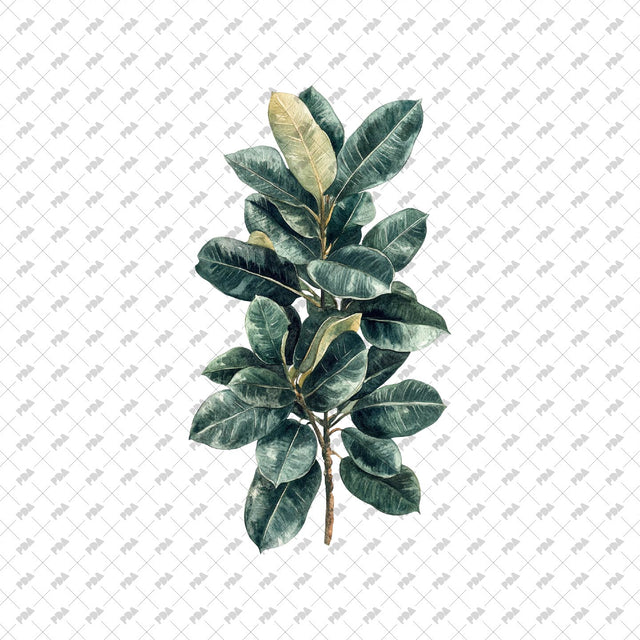 PNG Watercolor Plants - Post Digital Architecture — Free and Affordable Resources for Architects