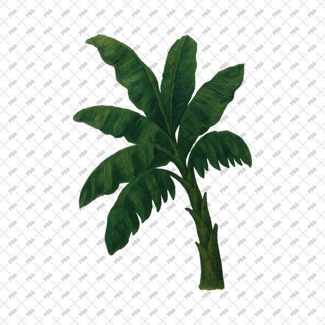 PNG Cutout Plants and Trees - Post Digital Architecture — Free and Affordable Resources for Architects