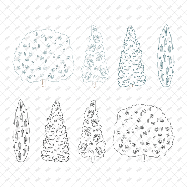 CAD Vector PNG Coniferous Trees - Post Digital Architecture — Free and Affordable Resources for Architects