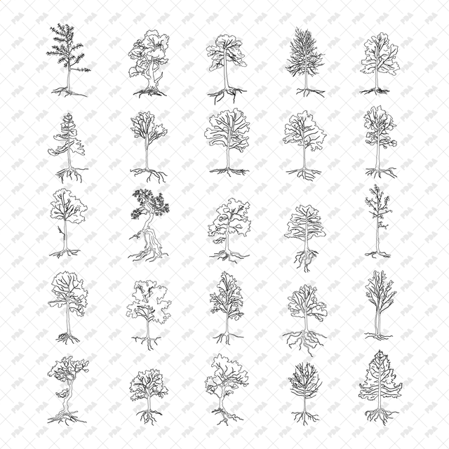 CAD, Vector Trees with Roots in Color and B/W - Post Digital Architecture — Free and Affordable Resources for Architects