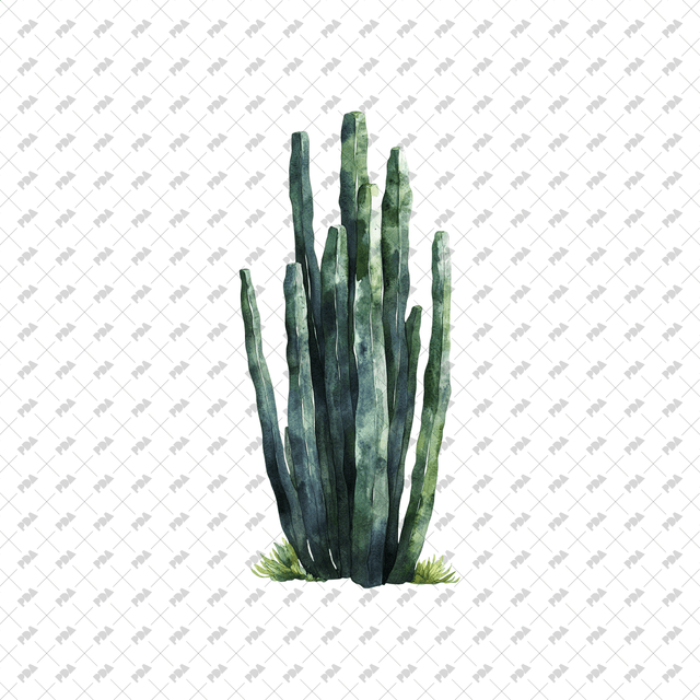 PNG Watercolor Desert Plants - Post Digital Architecture — Free and Affordable Resources for Architects