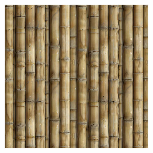 Pattern Library - Seamless Bamboo Textures - Post Digital Architecture — Free and Affordable Resources for Architects