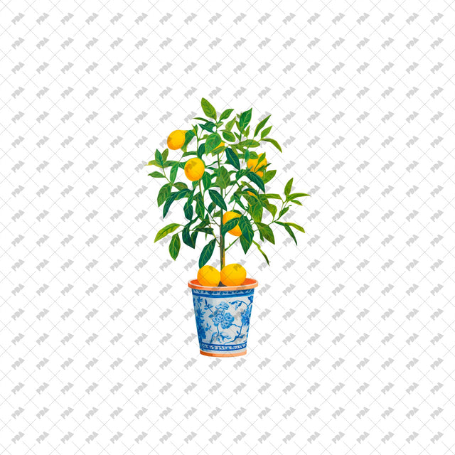 PNG Post Digital Collage Plants - Post Digital Architecture — Free and Affordable Resources for Architects