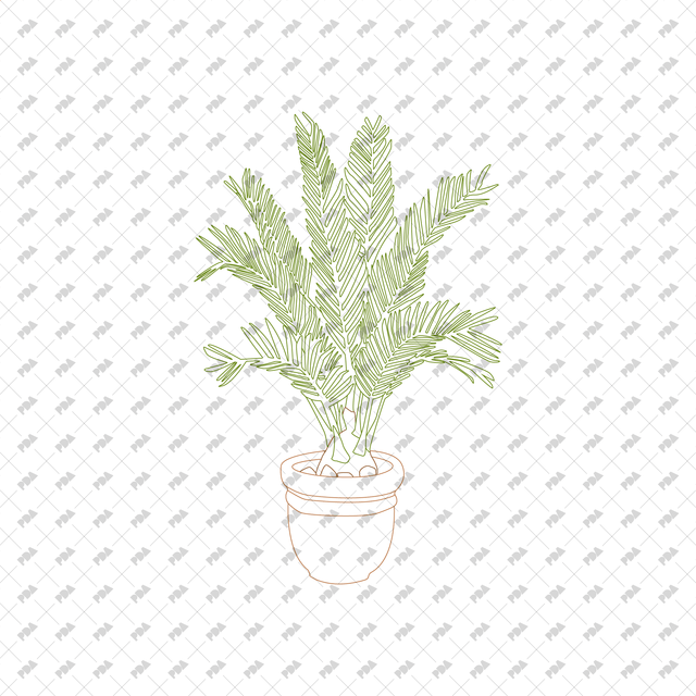 CAD, Vector Indoor Plants in Color and B/W Set (Front view) - Post Digital Architecture — Free and Affordable Resources for Architects