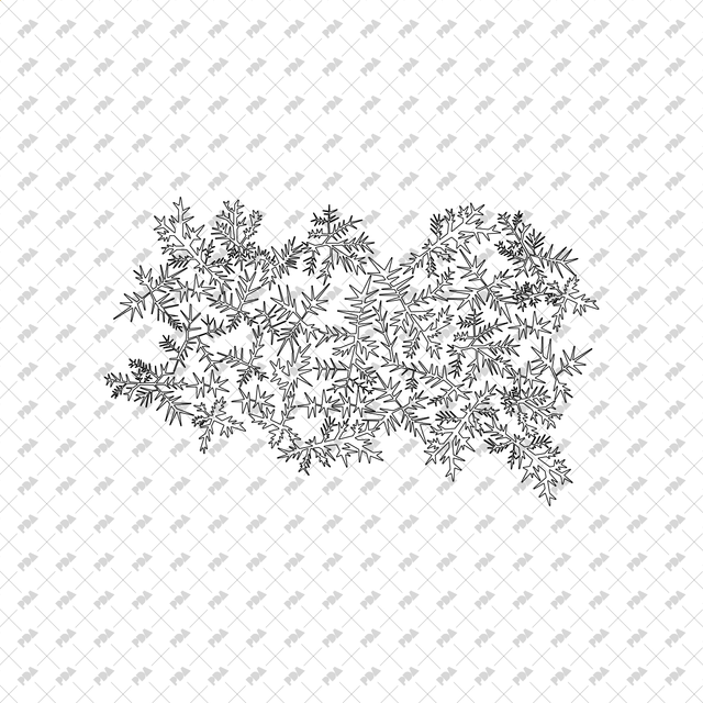 CAD, Vector Bushes in Top View - Post Digital Architecture — Free and Affordable Resources for Architects