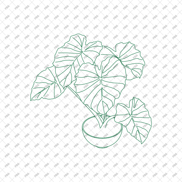 CAD, Vector Isometric Leafy Plants in Planters - Post Digital Architecture — Free and Affordable Resources for Architects