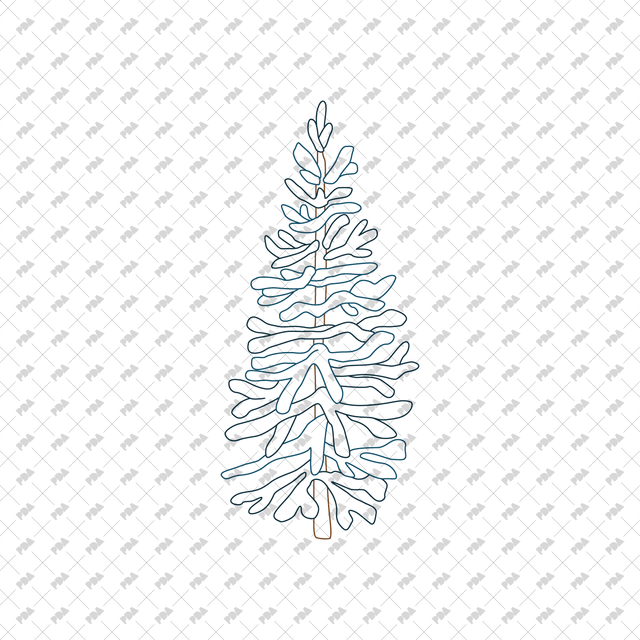 CAD Vector PNG Coniferous Trees - Post Digital Architecture — Free and Affordable Resources for Architects