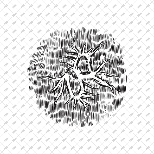 Vector, PNG Hand Drawn Trees in Top View Set - Post Digital Architecture — Free and Affordable Resources for Architects