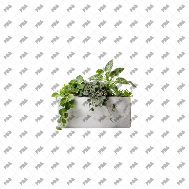 PNG Street Urban Plants in Planters - Post Digital Architecture — Free and Affordable Resources for Architects