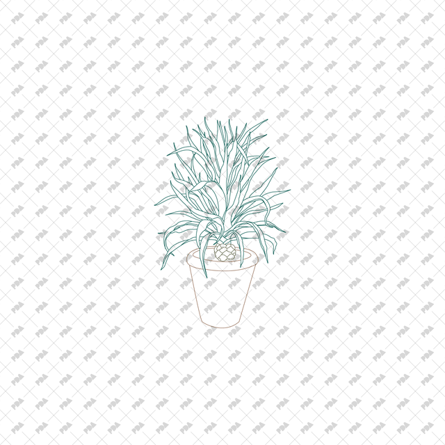 CAD, Vector Indoor Plants in Color and B/W Set (Front view) - Post Digital Architecture — Free and Affordable Resources for Architects