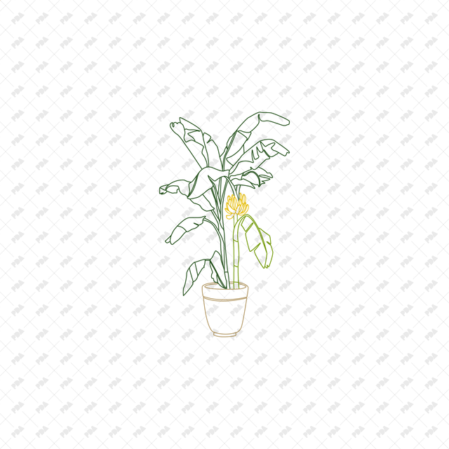 CAD, Vector Potted Fruit Trees and Plants (In color and B/W) - Post Digital Architecture — Free and Affordable Resources for Architects