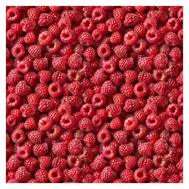 Pattern Library - Berries Textures (In top view) - Post Digital Architecture — Free and Affordable Resources for Architects