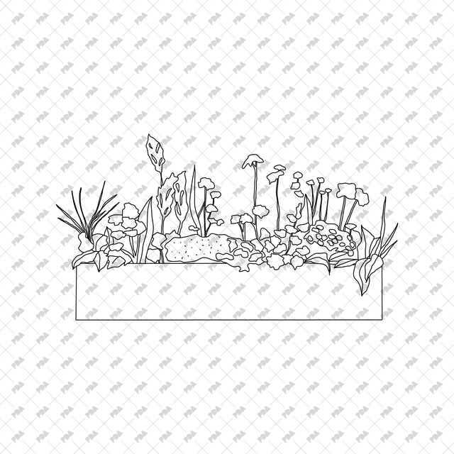 CAD, Vector Street Urban Plants in Planters - Post Digital Architecture — Free and Affordable Resources for Architects