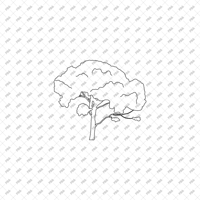 CAD, Vector Trees Set (Top and Side View) - Post Digital Architecture — Free and Affordable Resources for Architects