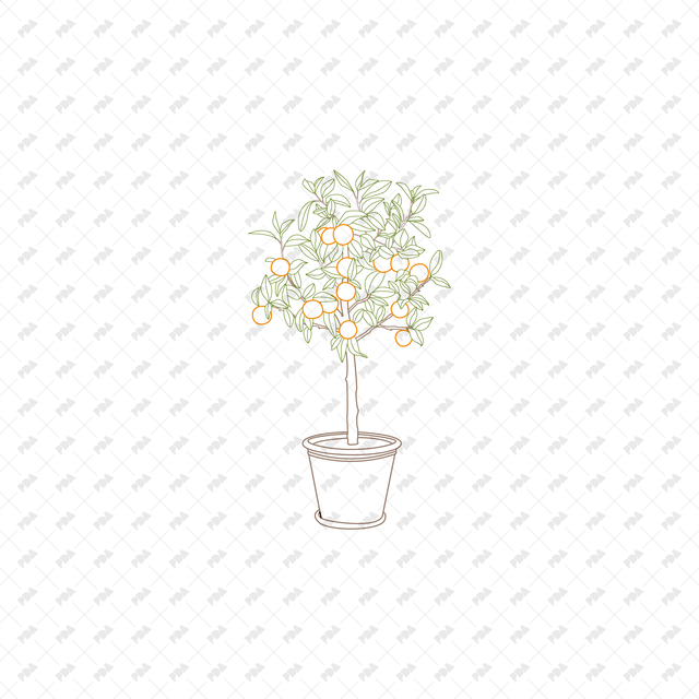 CAD, Vector Potted Fruit Trees and Plants (In color and B/W) - Post Digital Architecture — Free and Affordable Resources for Architects