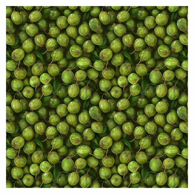 Pattern Library - Berries Textures (In top view) - Post Digital Architecture — Free and Affordable Resources for Architects