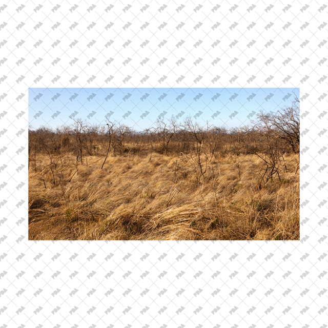 Meadows, Fields Backgrounds Set - Post Digital Architecture — Free and Affordable Resources for Architects