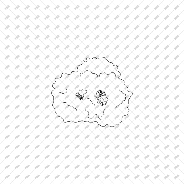 CAD, Vector Trees Set (Top and Side View) - Post Digital Architecture — Free and Affordable Resources for Architects