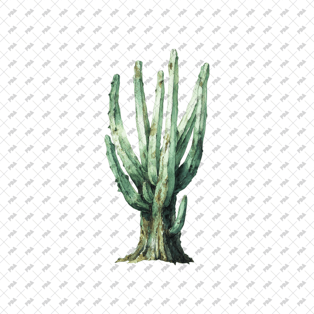 PNG Watercolor Desert Plants - Post Digital Architecture — Free and Affordable Resources for Architects
