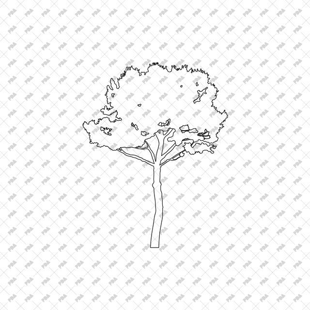 CAD, Vector Trees Set (Top and Side View) - Post Digital Architecture — Free and Affordable Resources for Architects