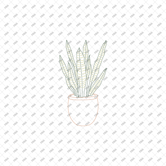 CAD, Vector Indoor Plants in Color and B/W Set (Front view) - Post Digital Architecture — Free and Affordable Resources for Architects