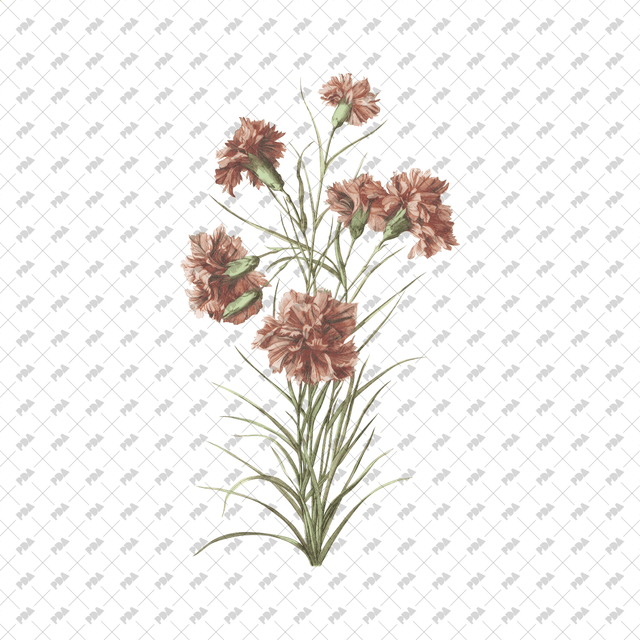 PNG Cutout Flowers for Collages - Post Digital Architecture — Free and Affordable Resources for Architects