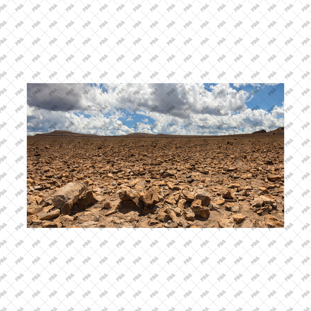 Meadows, Fields Backgrounds Set - Post Digital Architecture — Free and Affordable Resources for Architects