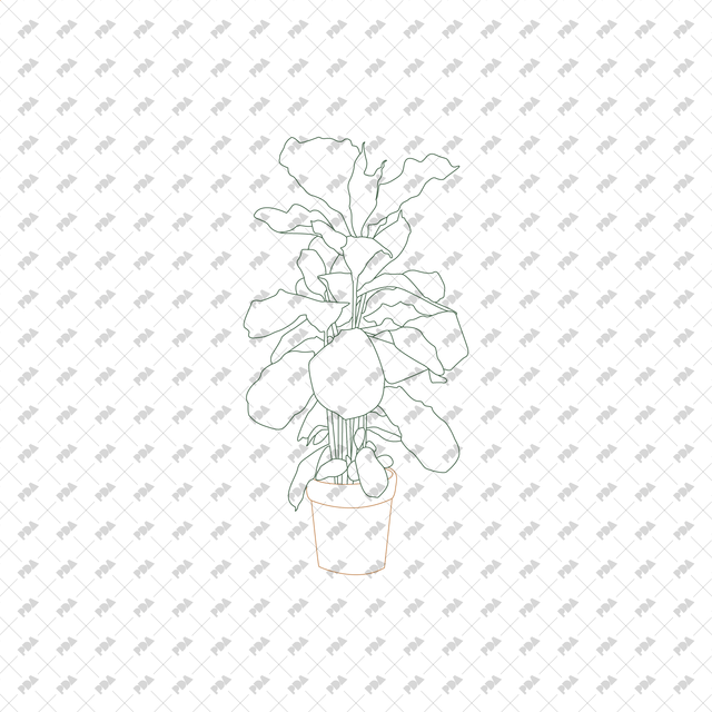 CAD, Vector Indoor Plants in Color and B/W Set (Front view) - Post Digital Architecture — Free and Affordable Resources for Architects
