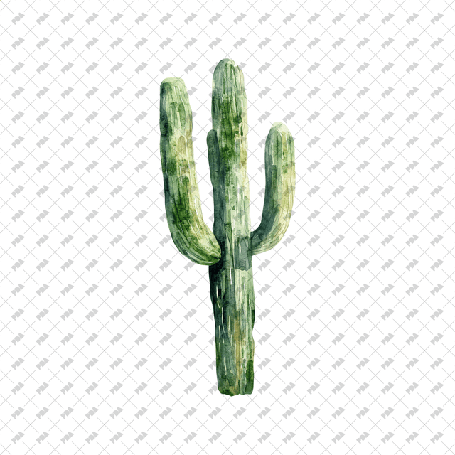 PNG Watercolor Desert Plants - Post Digital Architecture — Free and Affordable Resources for Architects