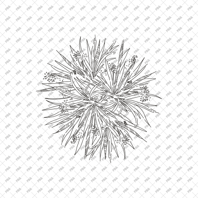 Vector, PNG Hand Drawn Trees in Top View Set - Post Digital Architecture — Free and Affordable Resources for Architects