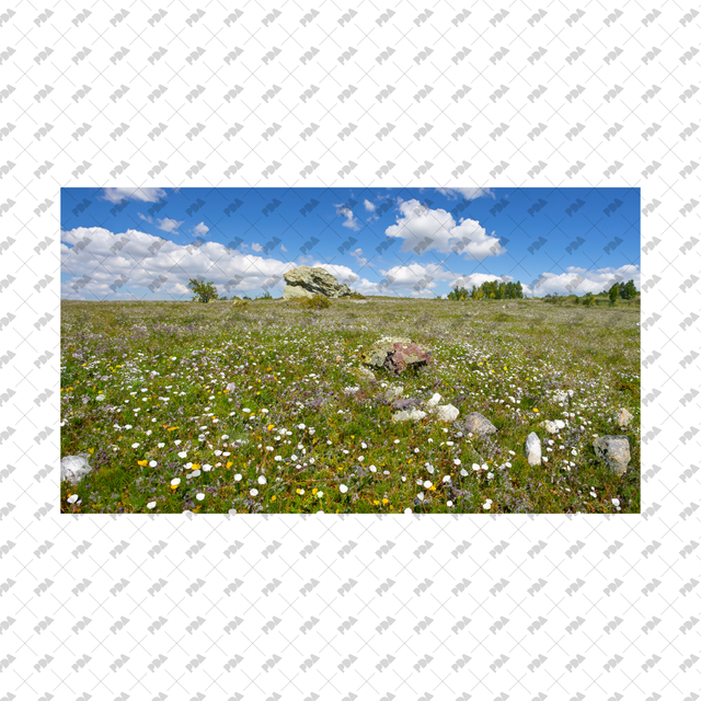 Meadows, Fields Backgrounds Set - Post Digital Architecture — Free and Affordable Resources for Architects