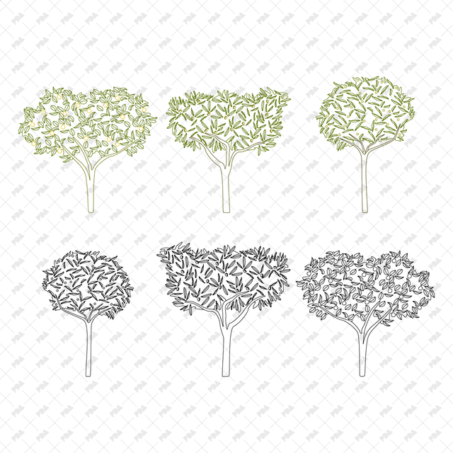 CAD, Vector Fruit Trees in Color and B/W - Post Digital Architecture — Free and Affordable Resources for Architects