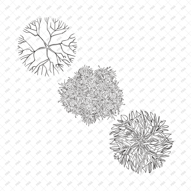 Vector, PNG Hand Drawn Trees in Top View Set - Post Digital Architecture — Free and Affordable Resources for Architects