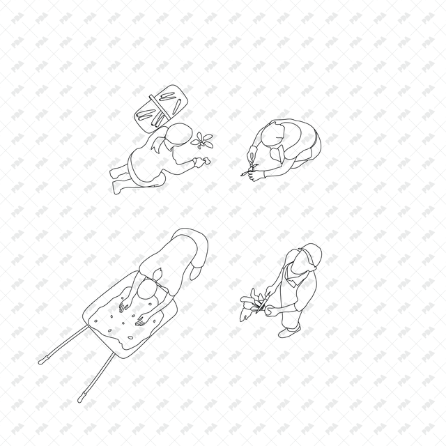 CAD, Vector Characters Planting Trees and Plants in Top View