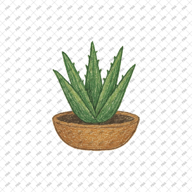 PNG Rough Hand-Drawn Plant Cutouts - Post Digital Architecture — Free and Affordable Resources for Architects