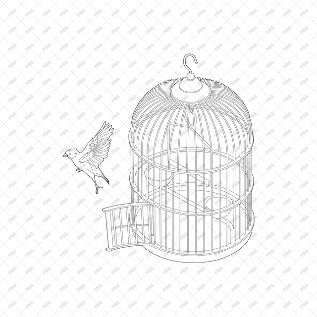 CAD, Vector, PNG Domestic Birds with Cages - Post Digital Architecture — Free and Affordable Resources for Architects