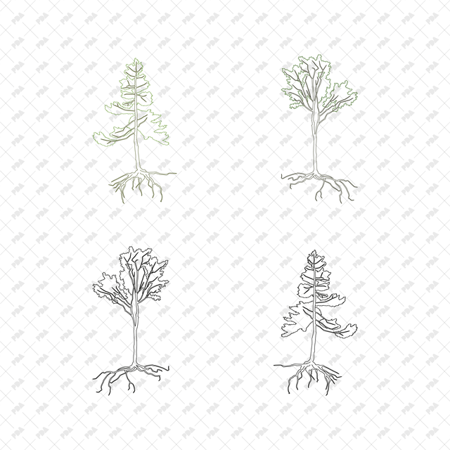 CAD, Vector Trees with Roots in Color and B/W - Post Digital Architecture — Free and Affordable Resources for Architects