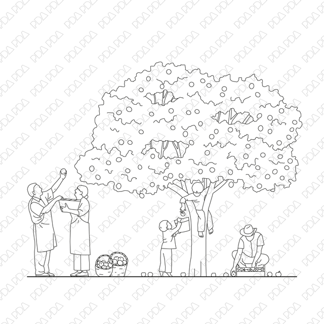 Gardening Multi - Pack (Front and side view) - Post Digital Architecture — Free and Affordable Resources for Architects